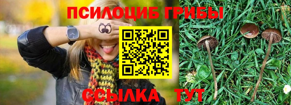 Псилоцибиновые грибы ЛСД Усолье-Сибирское