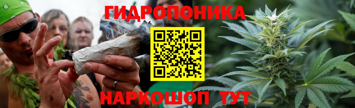 Канабис семена Усолье-Сибирское